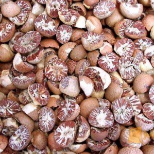 Daicari Pinang Belah Kering