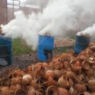 beli batok kelapa jumlah besar