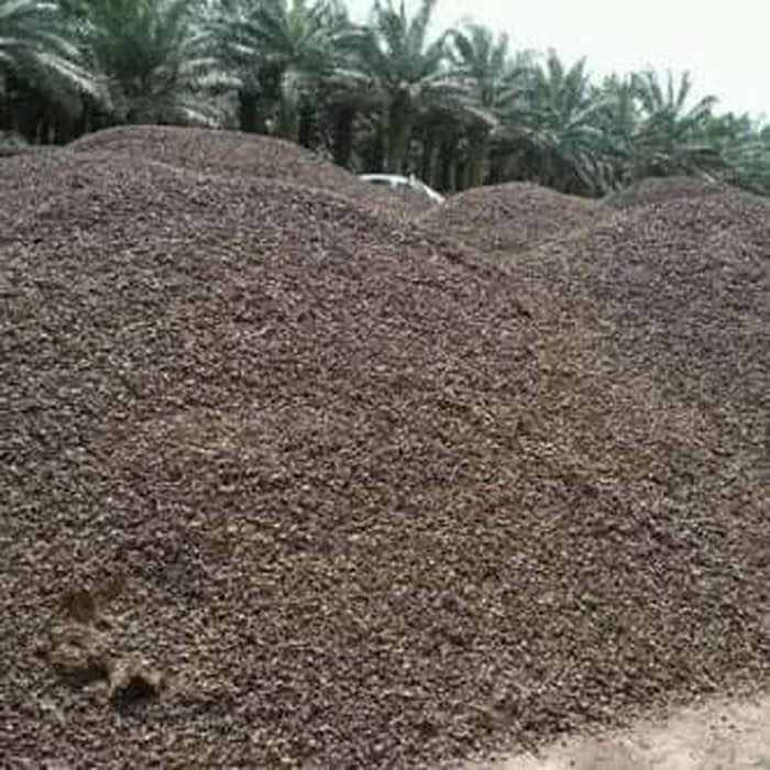 CANGKANG SAWIT