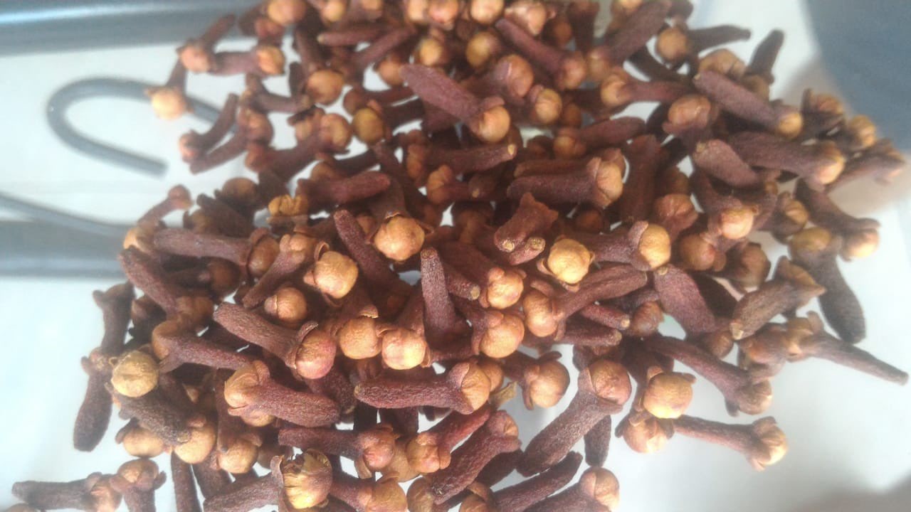 Di butuhkan  jumlah besar cengkeh