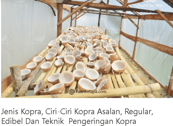 BUTUH KOPRA DENGAN BERBAGAI KUALITAS