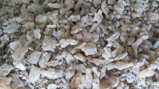 BELI DAMAR COPAL JUMLAH BESAR