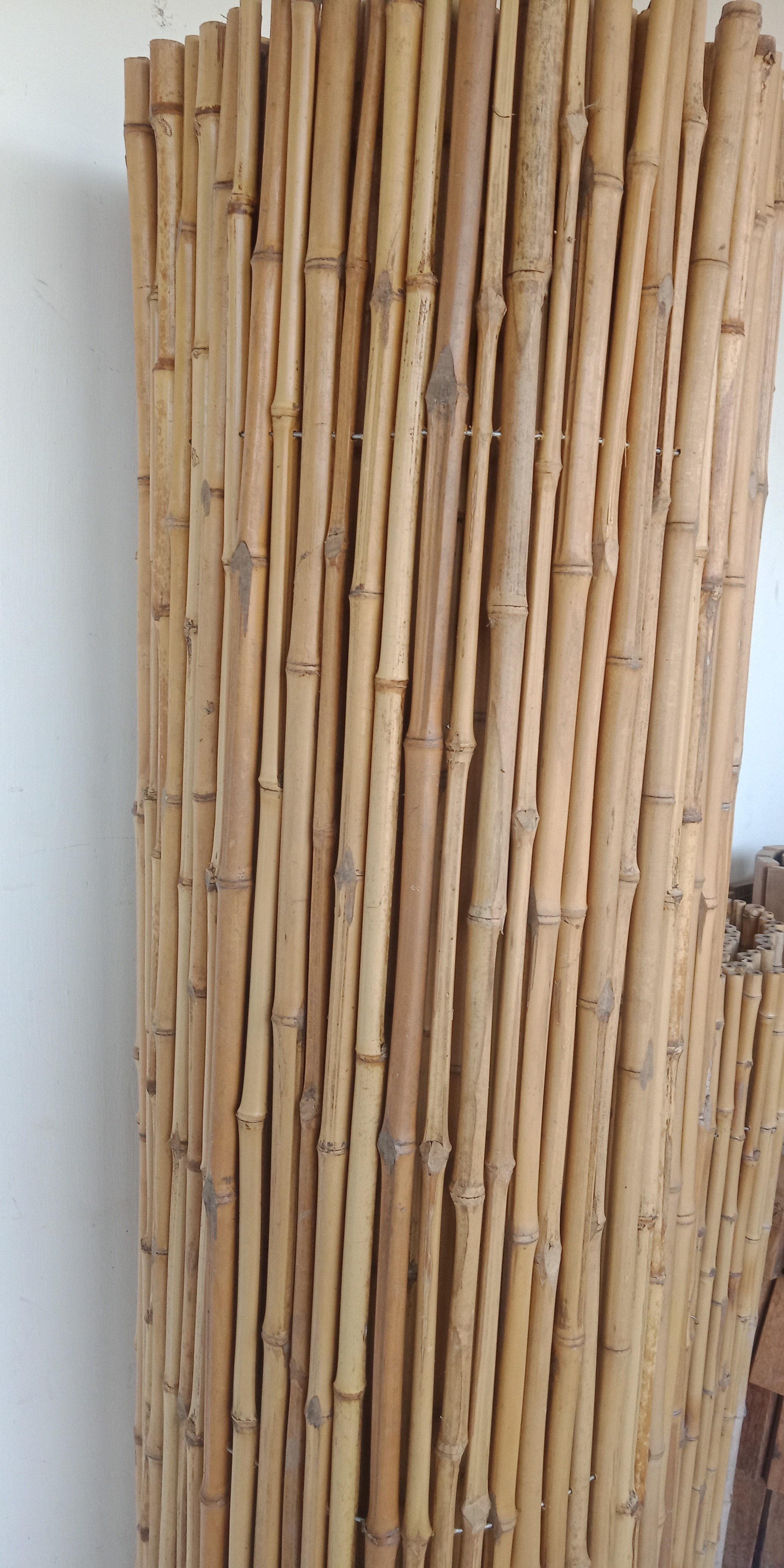 BUTUH BAMBU CENDANI