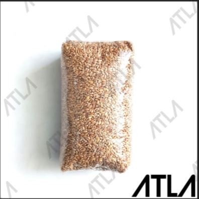 Beli wheatgrass harga grosir 