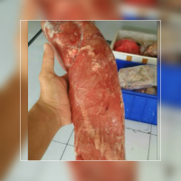 kami suppliyer kami suppliyer aneka macam daging sapi, buntut, iga, kikil, paru, lidah, dll