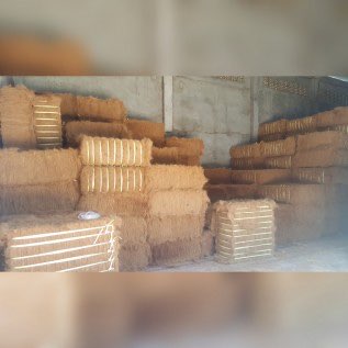 DICARI PABRIK SERABUT KELAPA/ SABUT KELAPA/ COCONUT FIBER QUANTITY BESAR