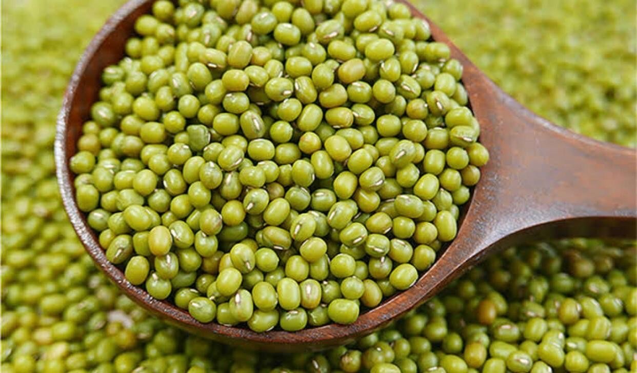 Dibutuhkan Kacang ijo 10 ton/hari