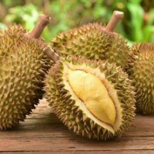 Durian Bali