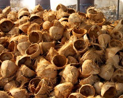 Batok Kelapa / Tempurung Kelapa