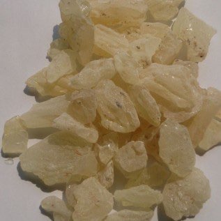 Beli Damar Kopal (Gum Copal) Getah Damar Quantitas Besar