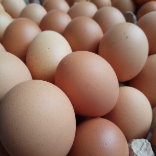 Cari pemasok telor ayam negeri,  yg bisa kirim cibubur murah harganya 
