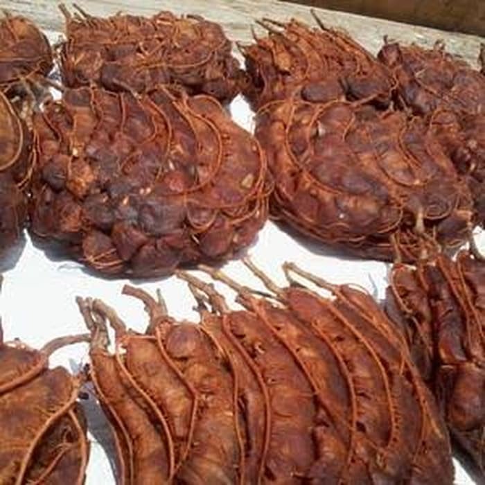 Butuh asem jawa daging, tanpa kulit dan biji. Kontinyu