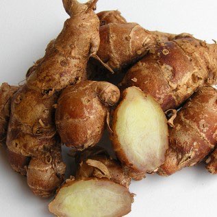 DICARI KENCUR SEGAR
