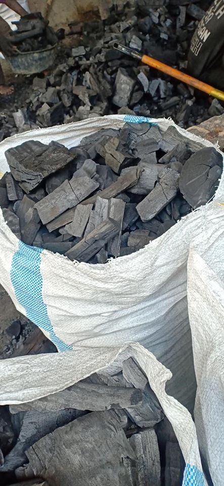 Permintaan ARANG KAYU KARET 