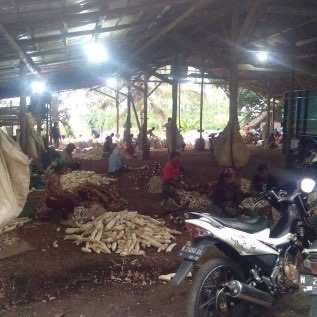 Beli Singkong dibayar kontan