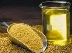 dicari vegetable oil (minyak kedelai, sunflower, biji kapuk, dan corn oil)