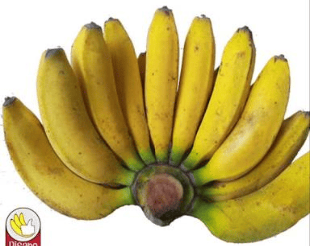 DI CARI PISANG RAJA BULUH