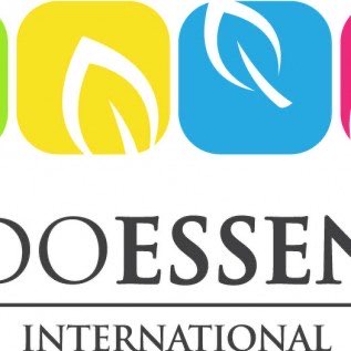Beli Minyak Cengkeh dan Essential Oil Lainnya Untuk Kebutuhan Ekspor!