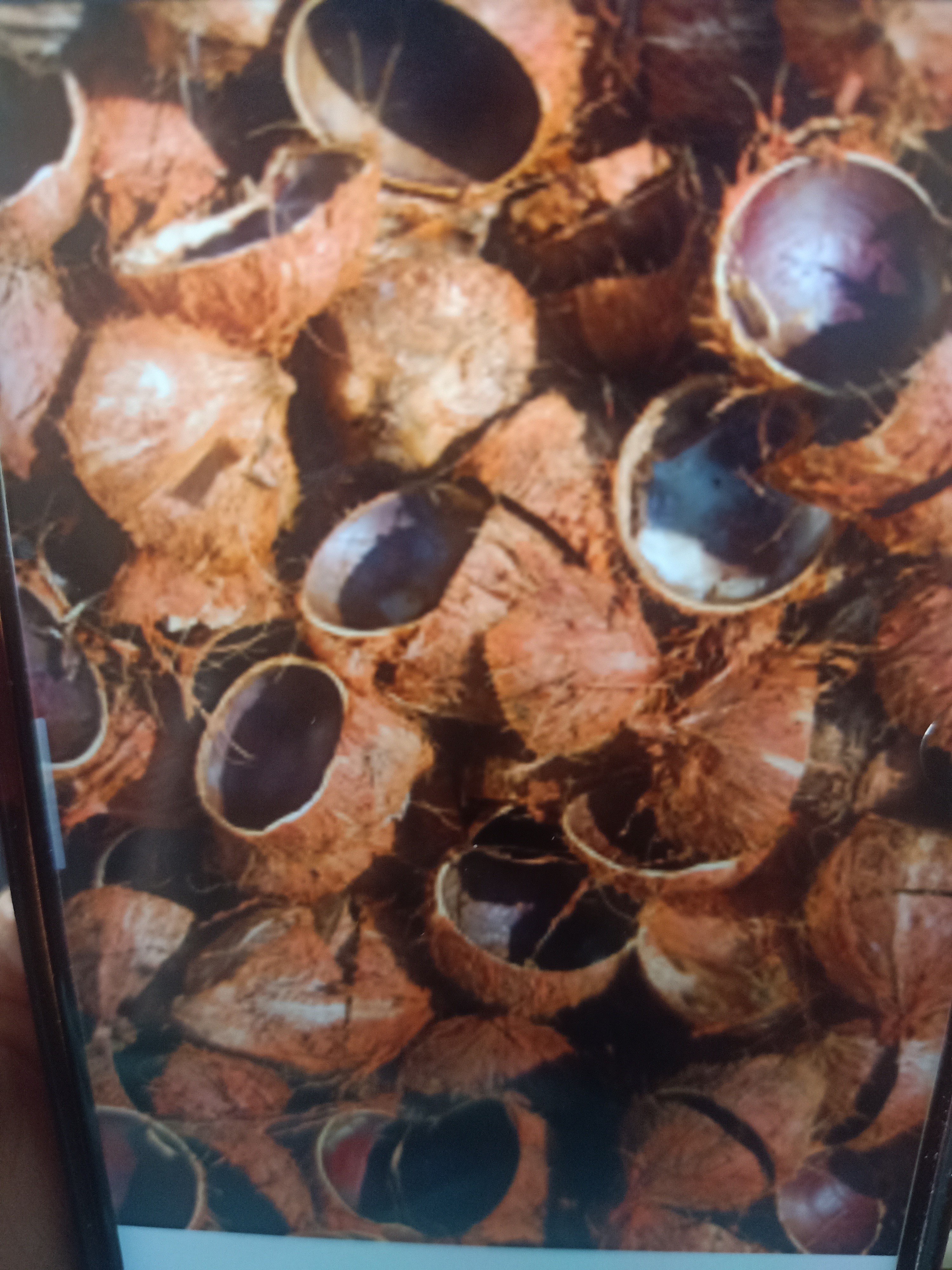 BATOK KELAPA