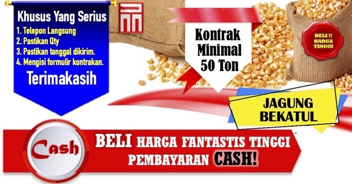 Beli Jagung dan Bekatul harga Fantastis