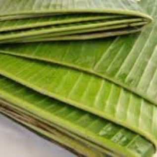 daun pisang,daun bambu,daun sirsak,daun jati,