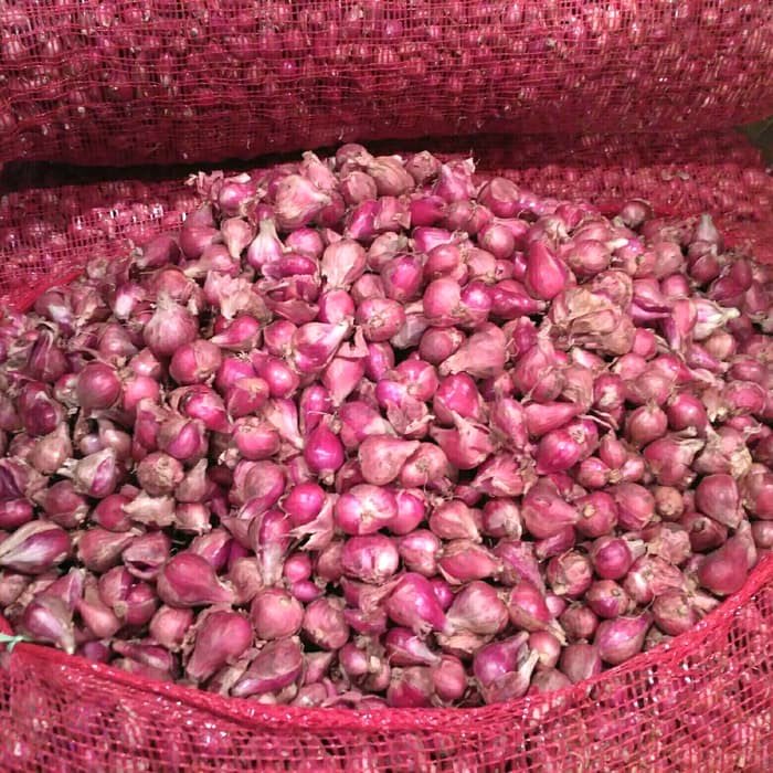 Beli Bawang Merah Kering (Local/Import) 
