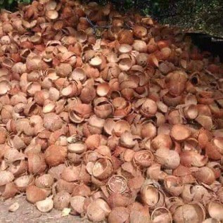 PELUANG KERJA SAMA PRODUKSI ARANG TEMPURUNG DGN KONTRAK SUPLAI PERUSAHAAN EKSPOR