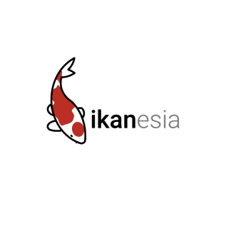 Permintaan ikan koi jenis yang unik dibawah 20 cm Ikanesia Koi Farm