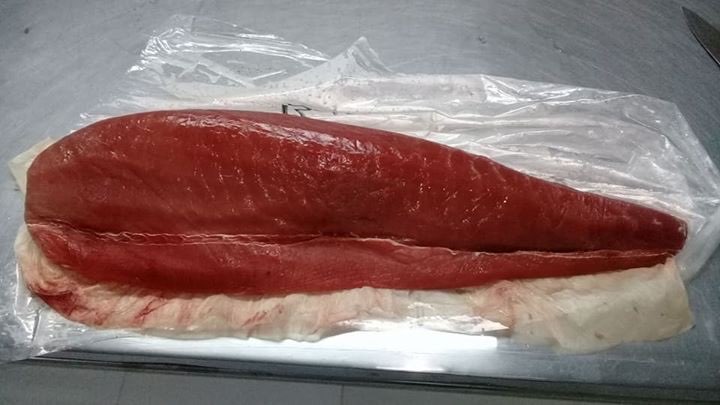 LOIN TUNA FRESH
