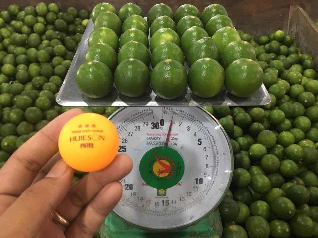 Butuh supplier Jeruk Nipis