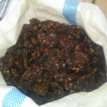 buah mengkudu/pace/noni