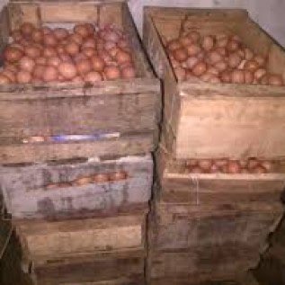 Jual Telur Ayam Negeri Jakarta..