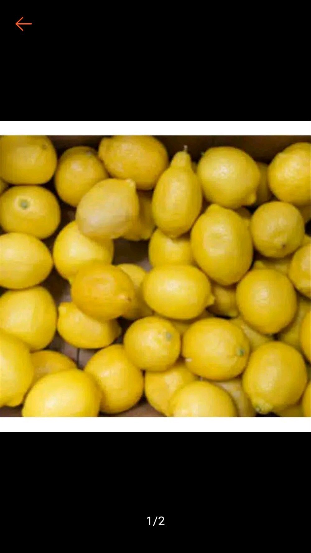 Lemon California Skala Kecil