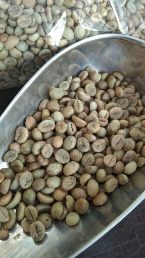 Butuh suplai Greenbean Jenis Arabica & Robusta Regional Toraja