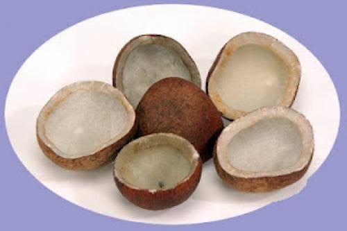 Dibutuhkan kopra putih, bungkil kelapa dan arang batok
