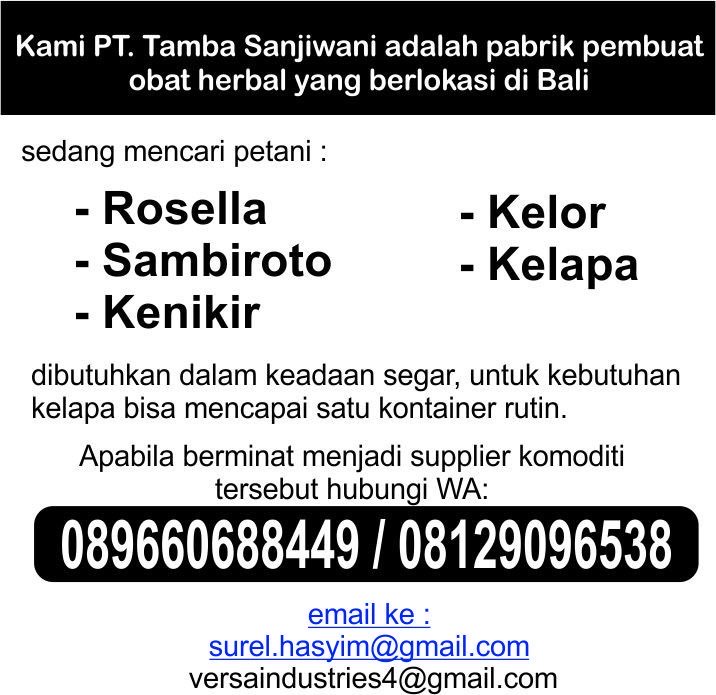Cari Pemasok Kelapa Rutin
