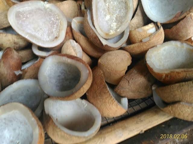 Kopra Asalan, Kopra Putih