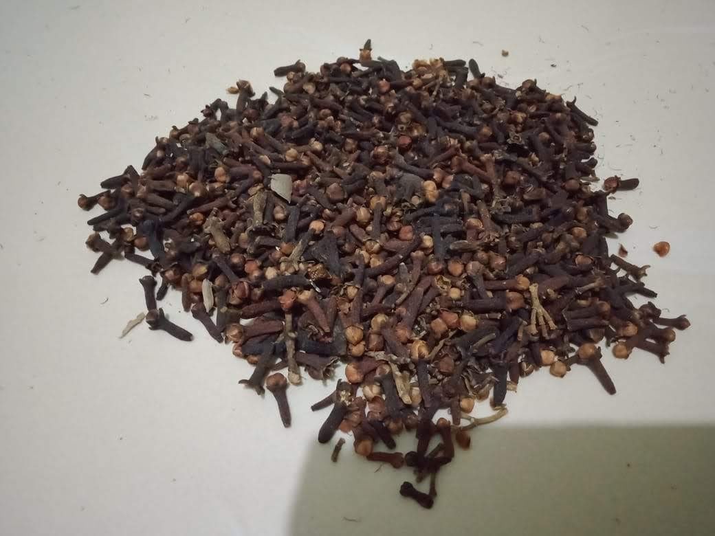 Cengkeh kering patah korek