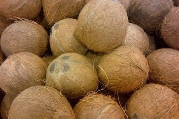 Kelapa Tua