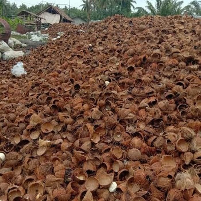 Membutuhkan Batok Kelapa