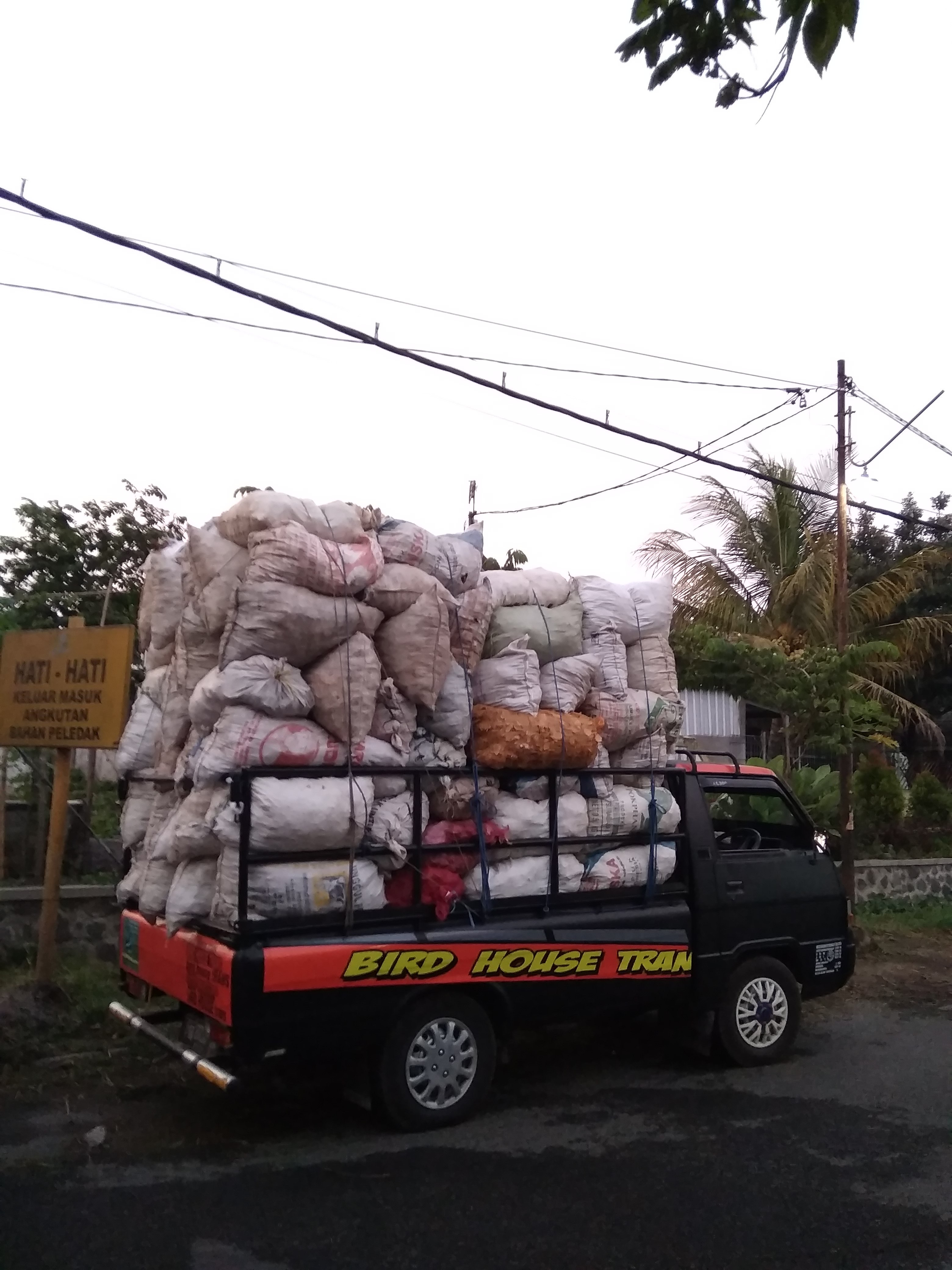 Kami Membutuhkan Bathok Kelapa Tanpa Sabut