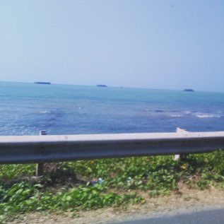 Rajungan Dan Kepiting
