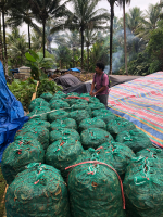 KOPRA ASALAN