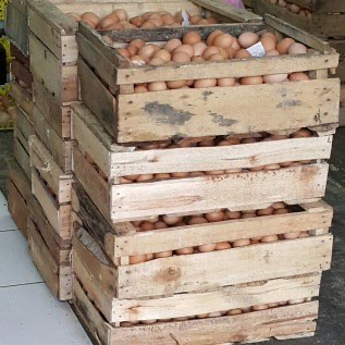 Telur Ayam Negeri Lokal