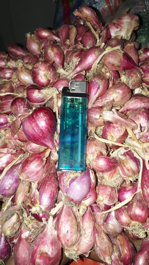 Bawang Merah Brebes