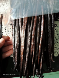 Jual Vanili Tahiti