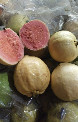 Jambu Merah