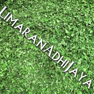 JUAL DAUN KELOR KERING (Dried Moringa Leaves) dan TEPUNG DAUN KELOR