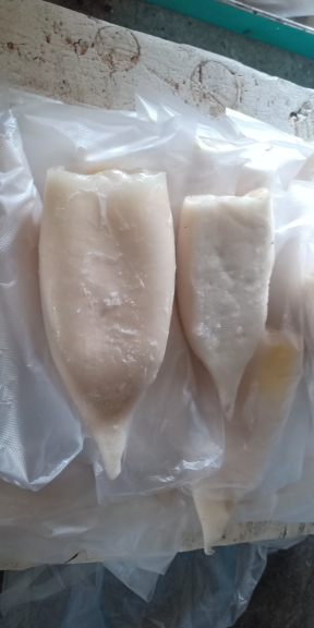 cumi tube