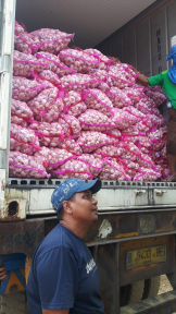 bawang putih
